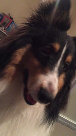 スラム街の記事動画