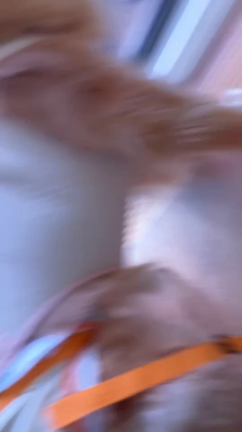 うわぁ〜❣️(≧∀≦)の記事動画