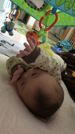 寝返りからの〜の記事動画