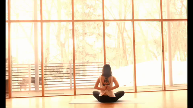 ヨガムービーの記事動画