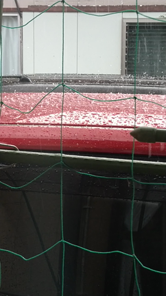 雨かと思ったらひょうの記事動画