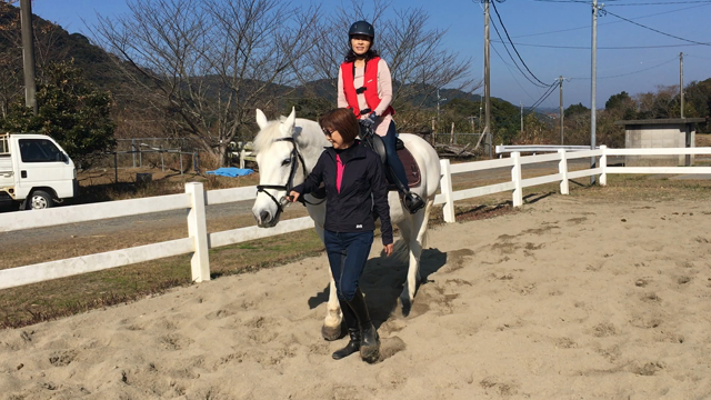 稼働です！の記事動画