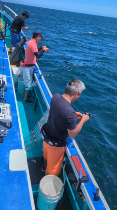 マルイカ狙いで出船しました。の記事動画