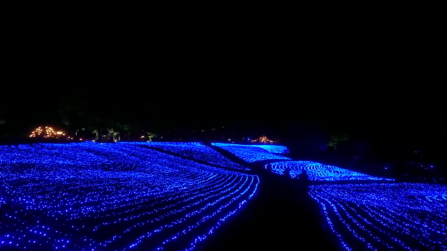 【加美町】(10/16)やくらいガーデン星あかりに行ってきましたの記事動画