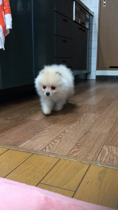 今日からの記事動画