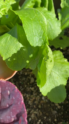 滝沢沙織さんのプロフィールページ