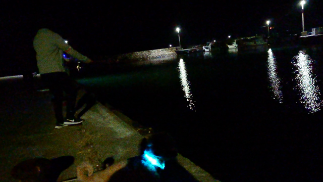 御飯屋おはな　キャンプ&ＢＢＱ　1日目の記事動画