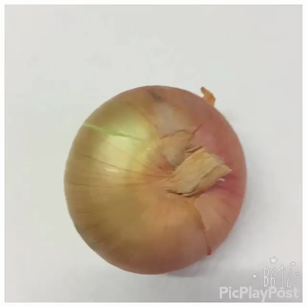 トンデリングの作り方の記事動画