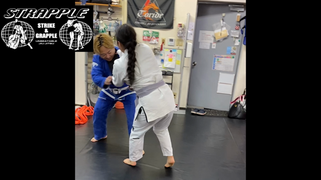 若手躍進！の記事動画