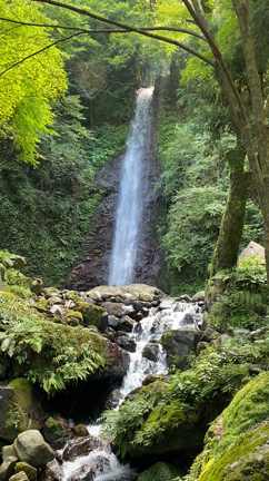 滝で涼むの記事動画