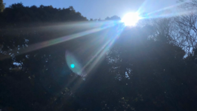 ２０１９年 振り返り動画(^^)の記事動画