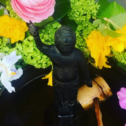 Kamakura Music Academyの記事動画