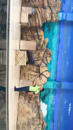 GWデート❤️鳥羽水族館-③アシカショーの記事動画