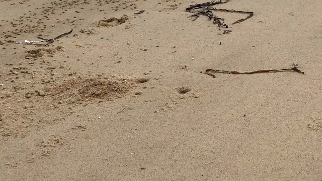 #12  3泊2日。の記事動画