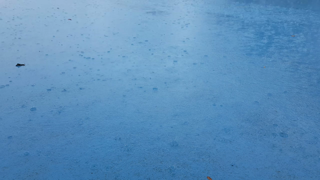 プール日和？の記事動画