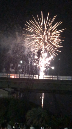 花火＼(^^)／の記事動画