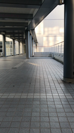 全日本吹奏楽コンクール…✨✨の記事動画