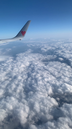 雲の上から眺める 雲海の壮太な景色＾＾の記事動画