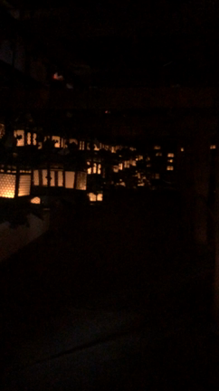 【上野まなと奈良世界遺産を歩く旅】に参加してきました②の記事動画