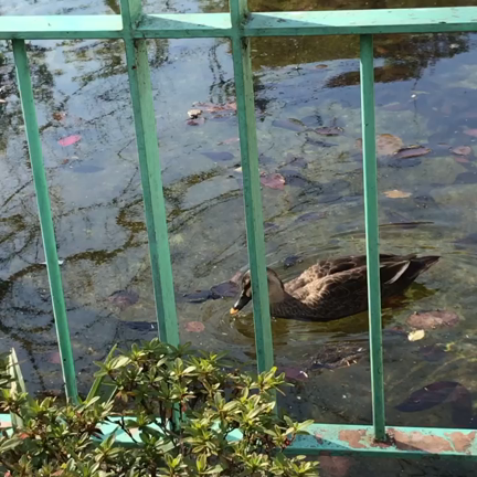 2021/01/14の記事動画