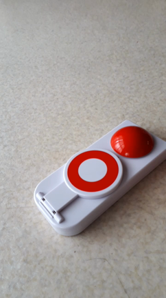 《　クリスマス会　2019.12.25　》の記事動画