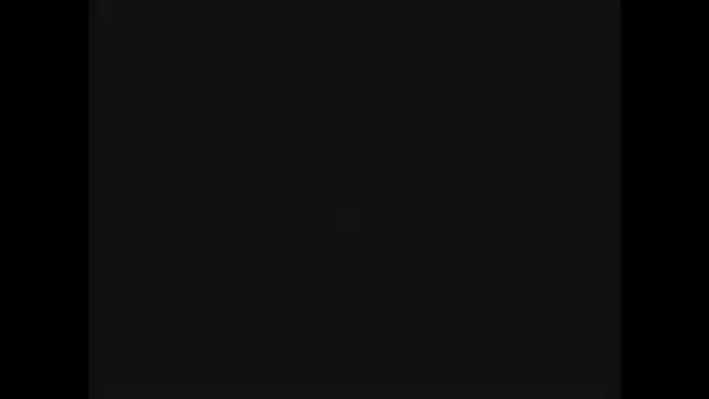 鷹が教えてくれたことの記事動画