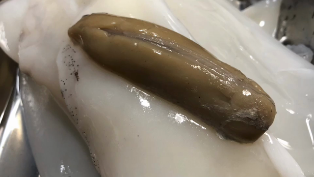 しょー君への記事動画
