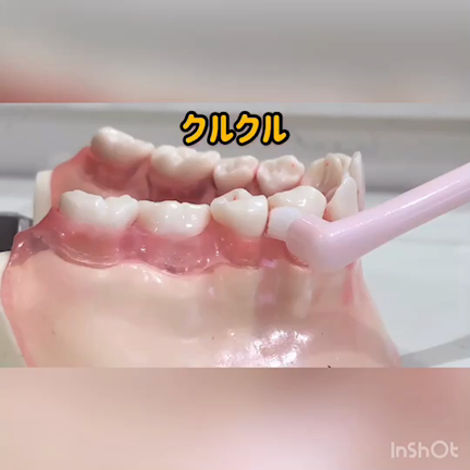 かゆい所に手が届く‼︎タフトブラシの記事動画