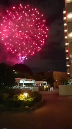サプライズ花火の記事動画