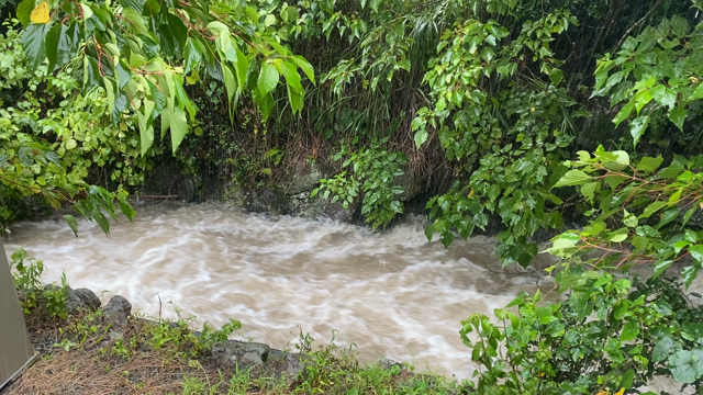 明日はお休みです。の記事動画