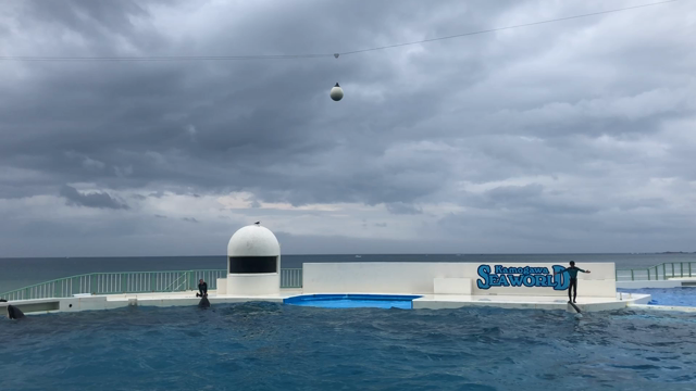 1人欠けたお誕生日会(ㆀ˘･з･˘)の記事動画