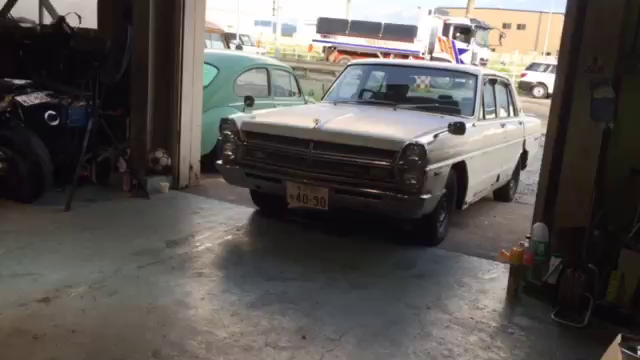 少しづつですが…の記事動画