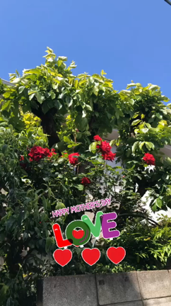 母の日の記事動画