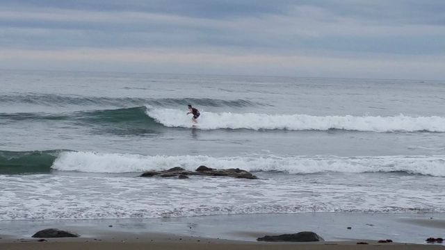 デカイ波にの記事動画