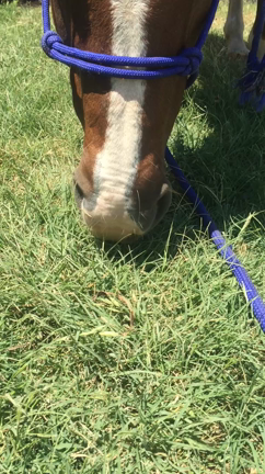 食欲の春です（好きな音）の記事動画
