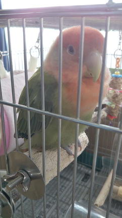 ちゃちゃの、リラックス時間☆の記事動画