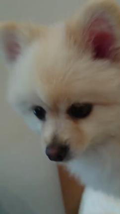 励ましてくれてありがとうの記事動画