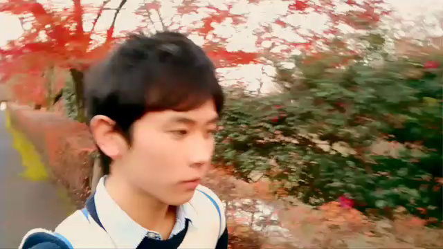 トコトコさんぽっの記事動画