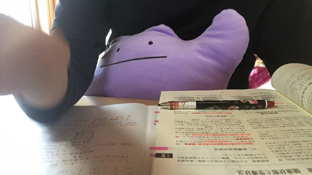 数字の記事動画