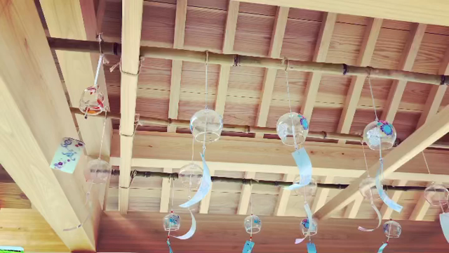 ふうりん、ふえましたの記事動画