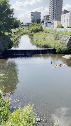 この鳥は？？の記事動画