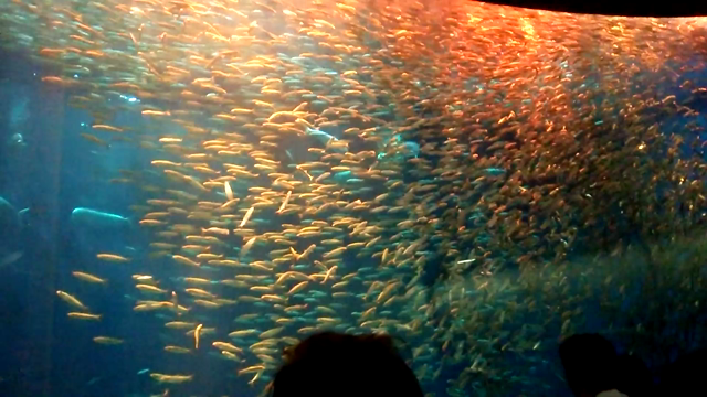 ぐんぐん南下の記事動画