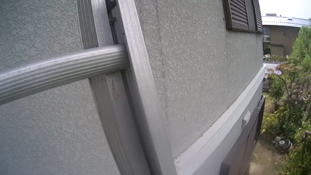 大津市にてスズメバチ駆除の記事動画