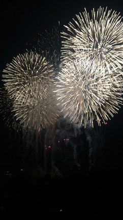 岐阜長良川花火大会の記事動画