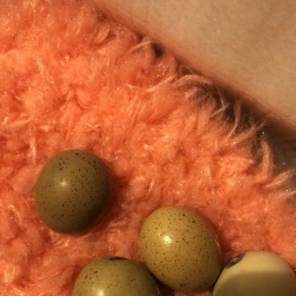 16日 22:30の記事動画