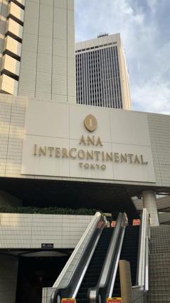 3日間の記事動画