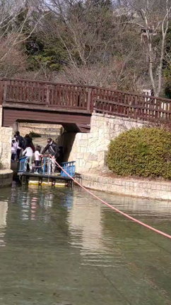 休日の記事動画