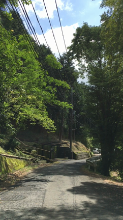 55才✨爽やかな朝です！の記事動画