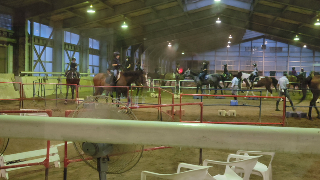 明日は結果発表と今週出走馬ナッシングの記事動画