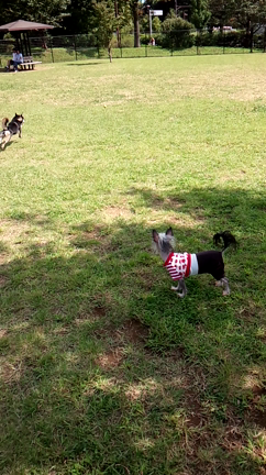 SW最終日☆の記事動画